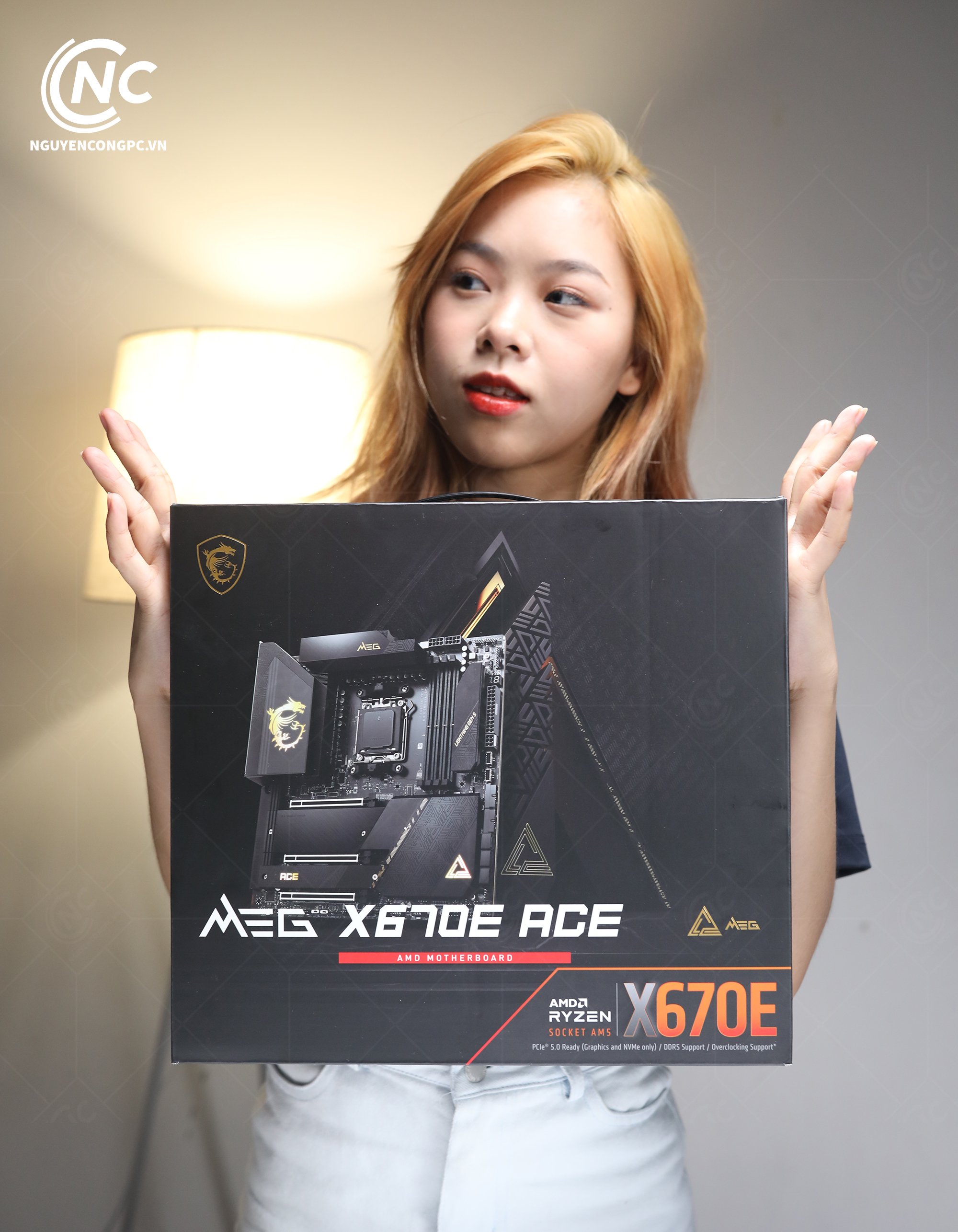 Mainboard MSI MEG X670E ACE