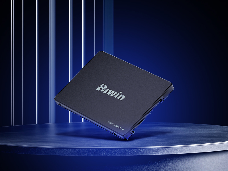 Ổ cứng SSD Biwin M100 256GB
