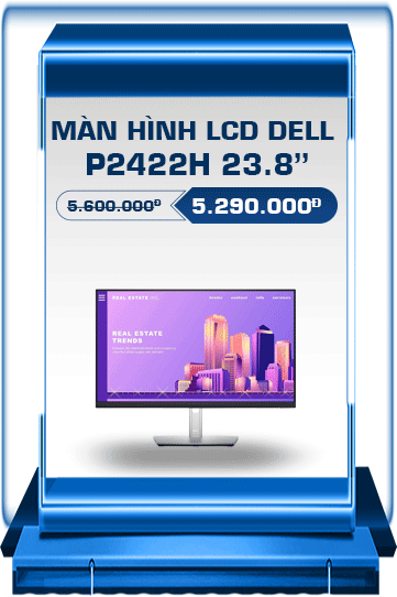 Màn Hình Dell P2422H (24inch/FHD/IPS/60Hz)