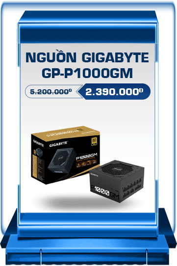 Nguồn Máy Tính GIGABYTE P1000GM (1000W/80 PLUS Gold/Fully Modular)