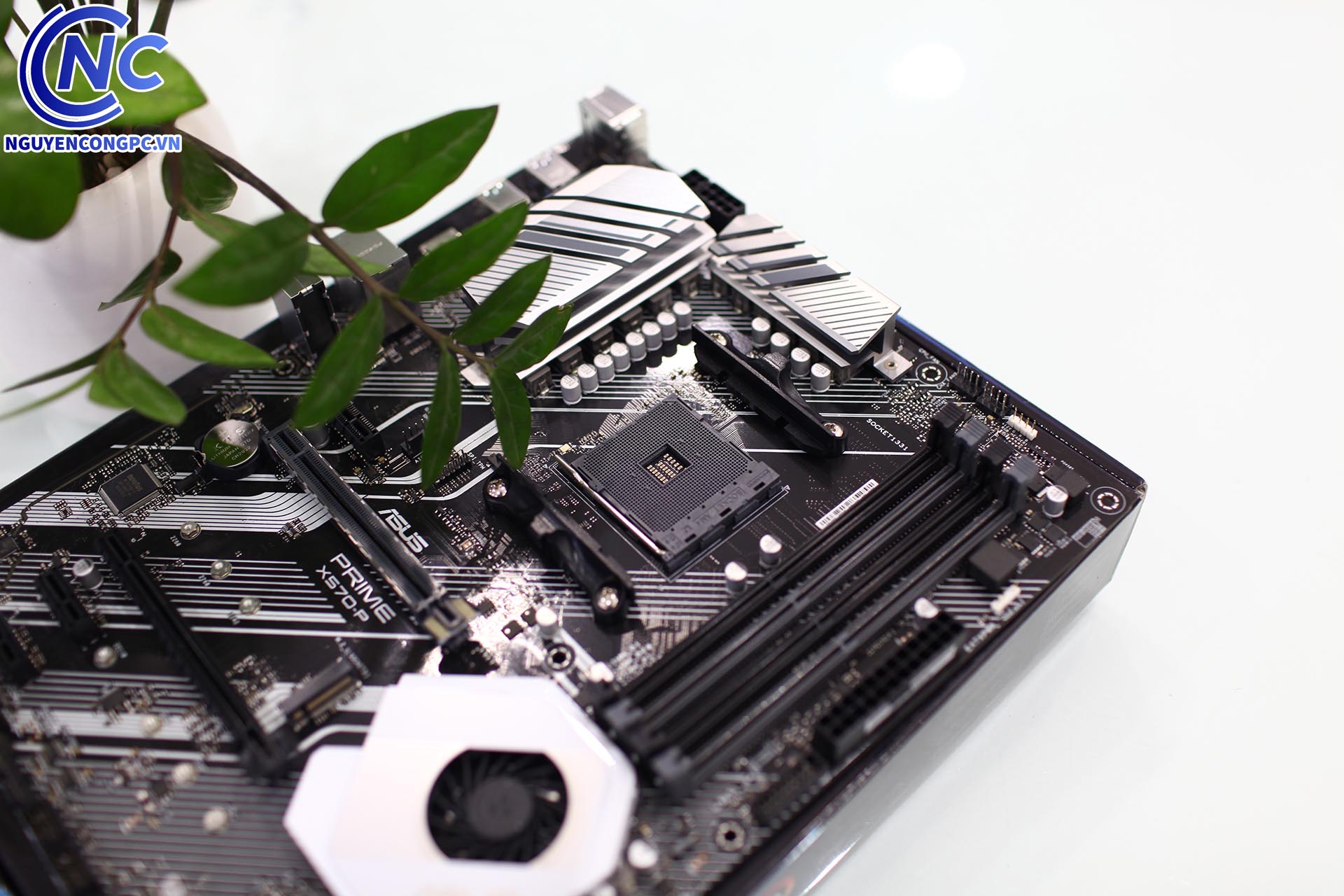 Main ASUS X570-P