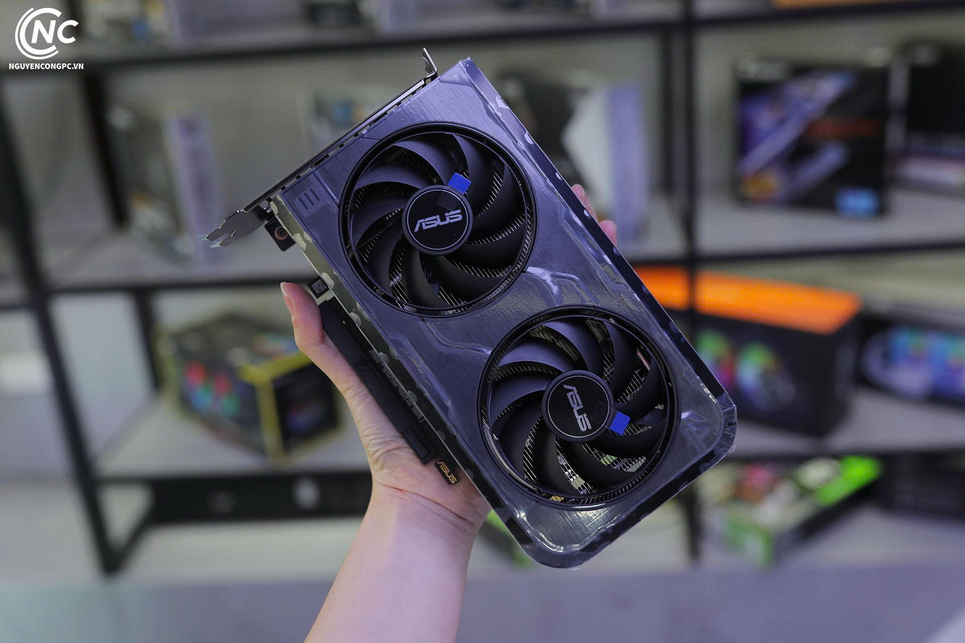 Card M&agrave;n H&igrave;nh ASUS Dual GeForce RTX 5050 8GB GDDR6