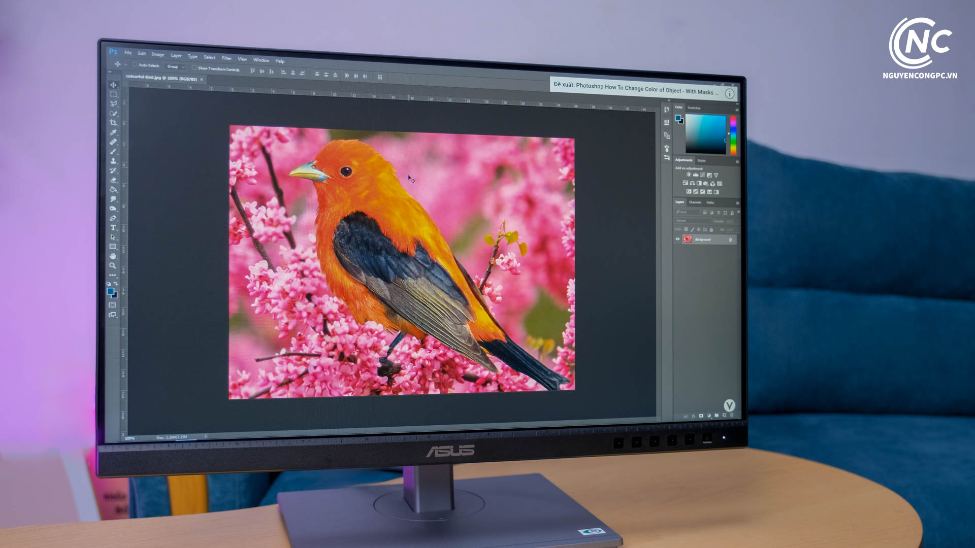 màn hình ASUS ProArt - NCPC 7