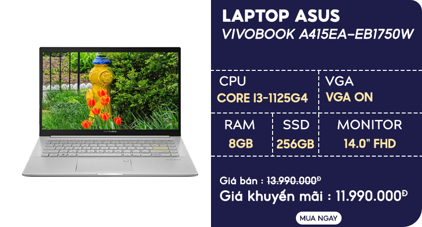 Laptop Asus VivoBook A415EA-EB1750W