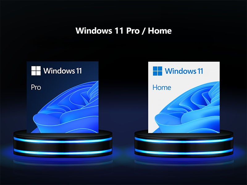 win 11 home hay pro