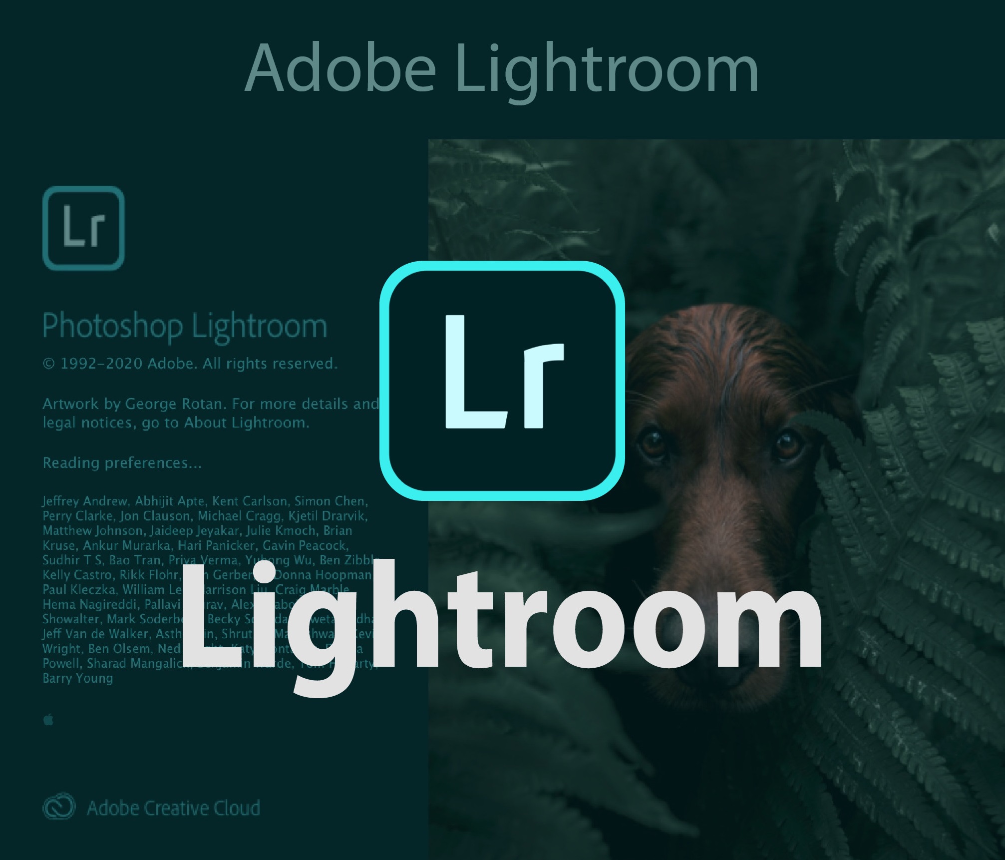 Adobe Lightroom Là Gì Những Tính Năng Chính Của Lightroom 8391