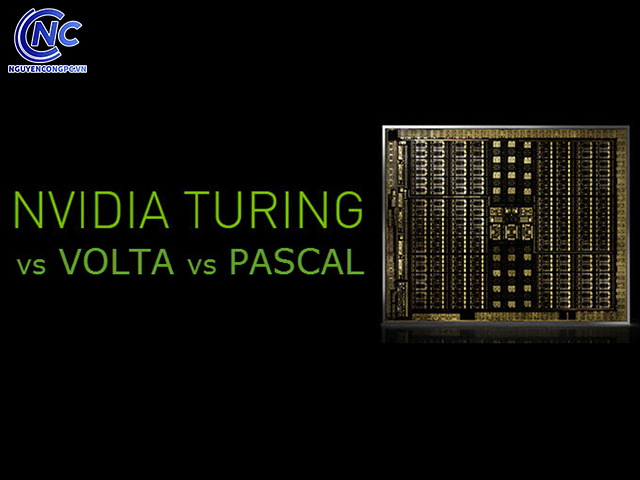 Kiến trúc Pascal vs Volta vs Turing trên GPU của VGA