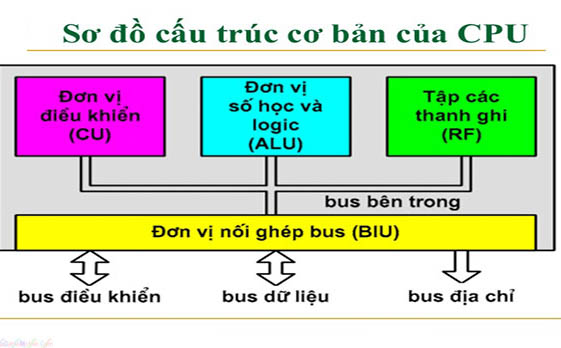 Cấu tạo CPU chi tiết từ A-Z và nguyên lý hoạt động