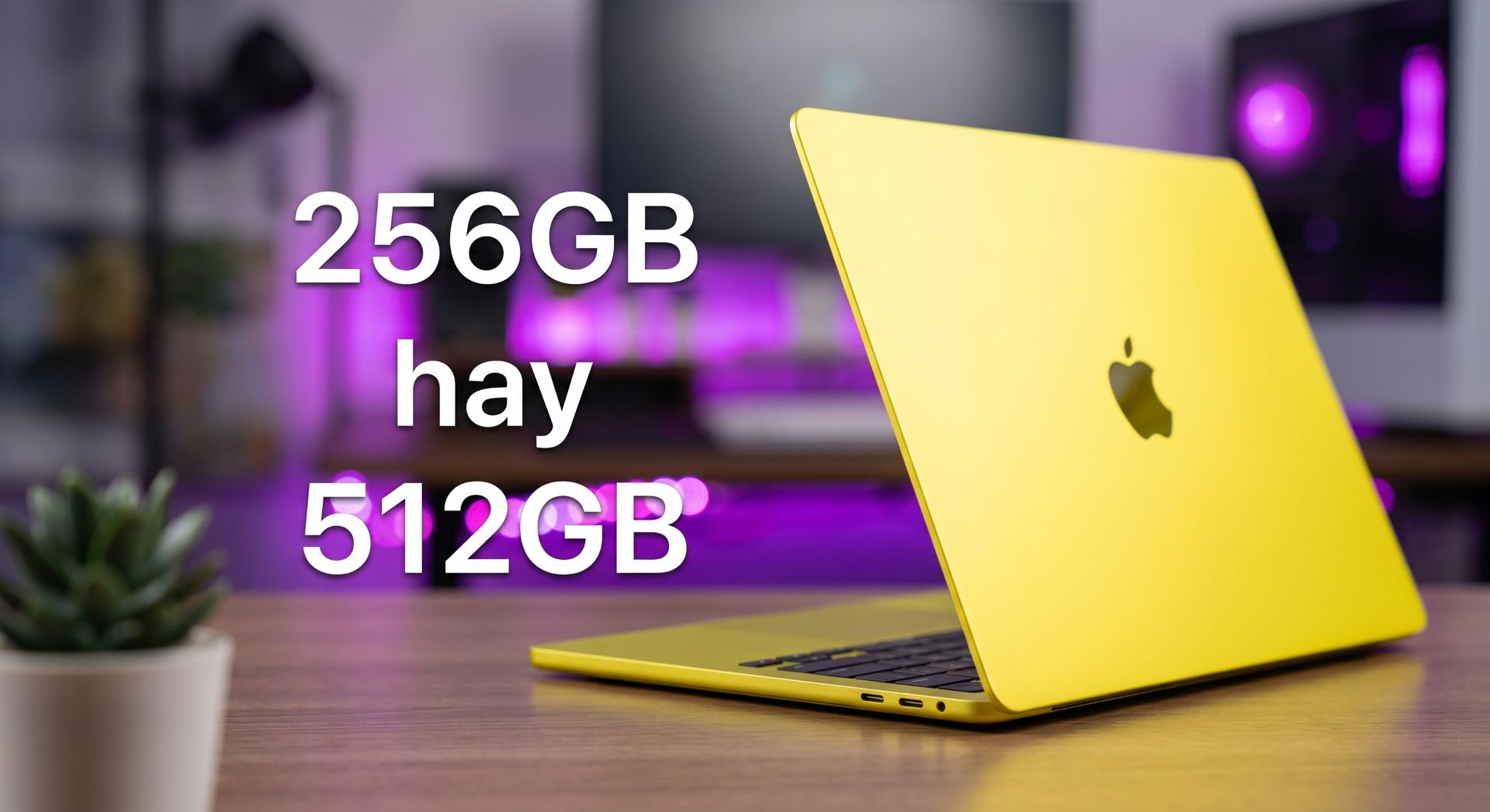 256gb hay 512