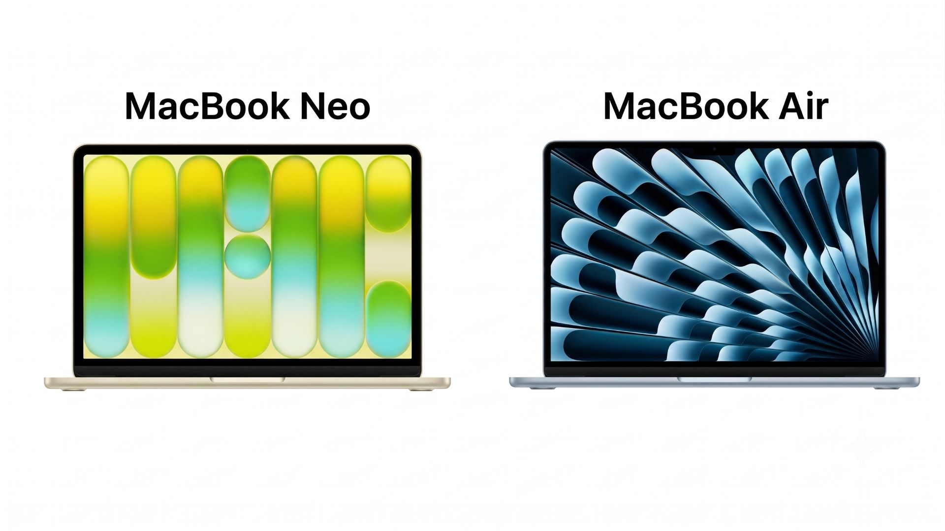neo voi air