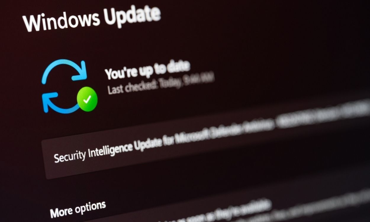 Hướng dẫn cách chặn máy tính update lên bản cập nhật Windows 11 24H2