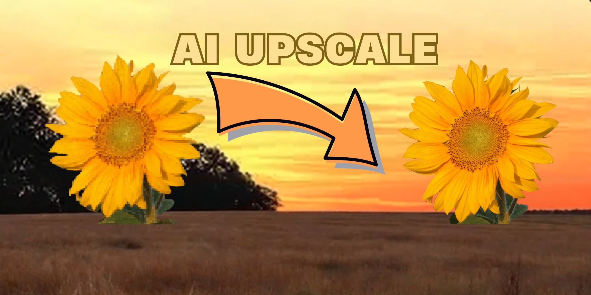 AI Upscale ảnh là gì? Hướng dẫn sử dụng và cấu hình máy tính tối ưu cho upscale ảnh chất lượng và nhanh nhất