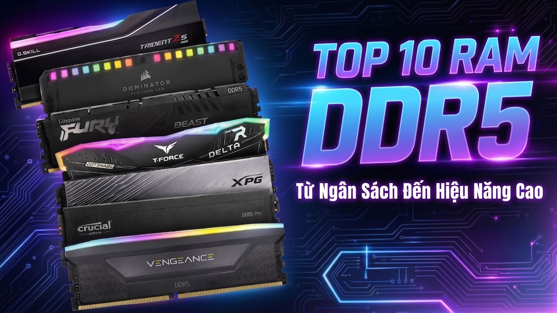 Top 10 RAM DDR5 Đáng Mua – Từ Ngân Sách Đến Hiệu Năng Cao