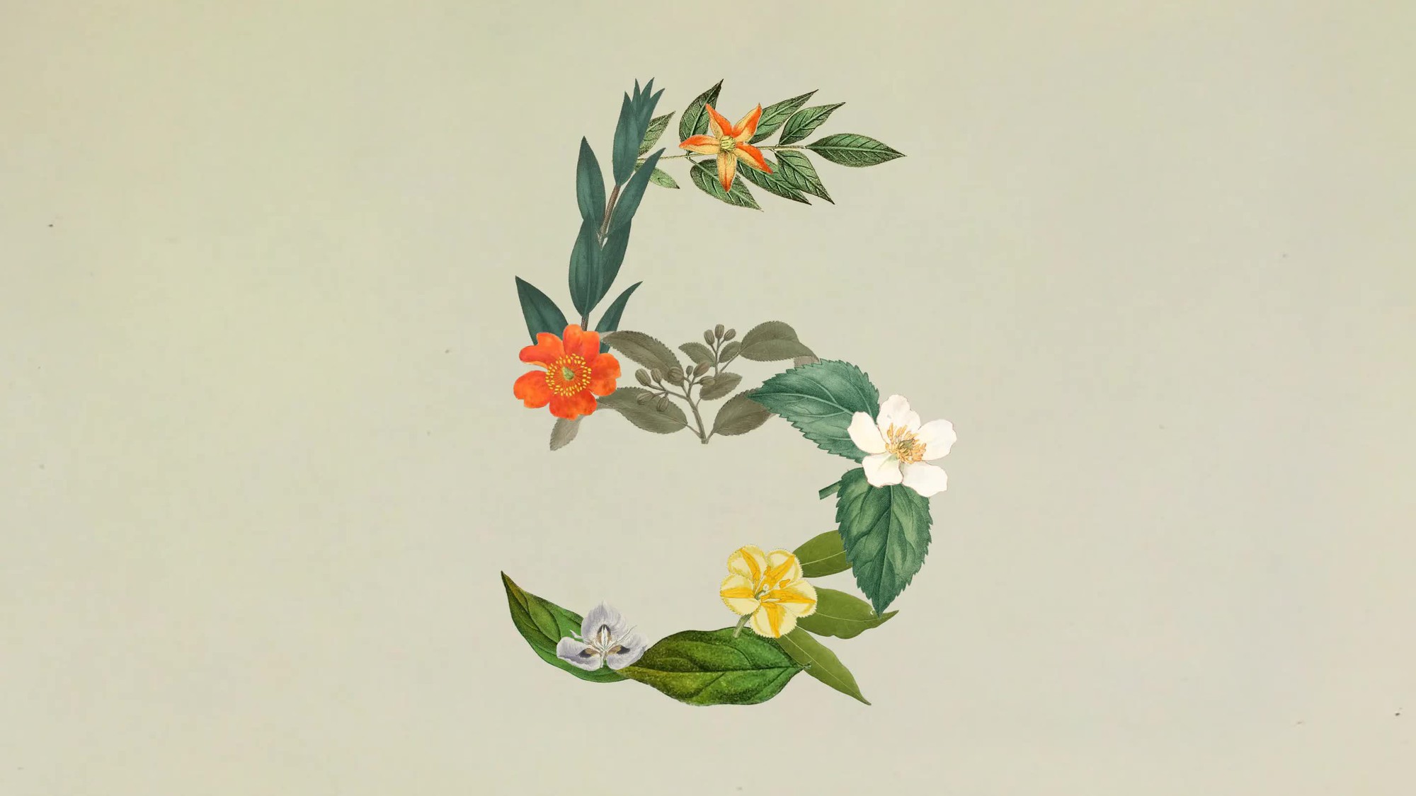 Anthropic ra mắt Claude Sonnet 5: Hiệu năng áp sát Opus 4.8, giá chỉ bằng nửa
