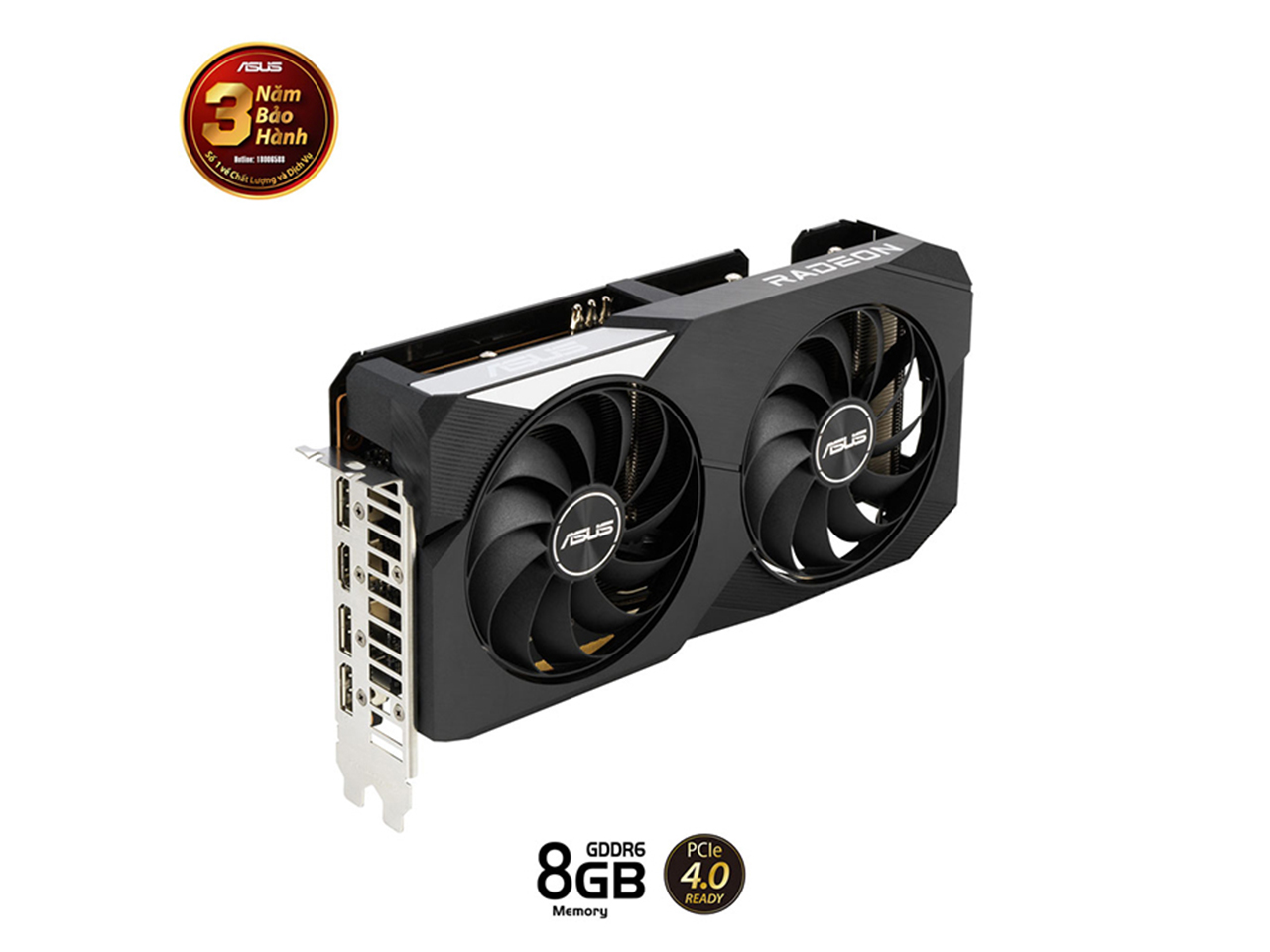 Card màn hình Asus DUAL Radeon RX 6600 8GB