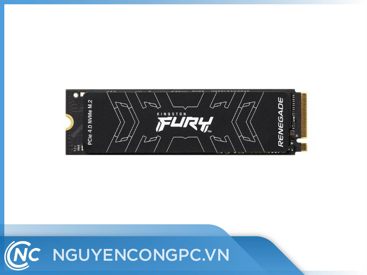 Ổ cứng SSD Kingston FURY Renegade 1TB NVMe PCIe Gen 4.0 (SFYRS/1000G )