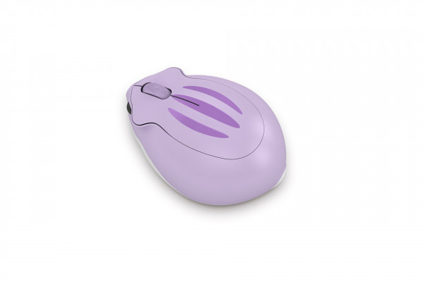 Chuột Akko Hamster Shion