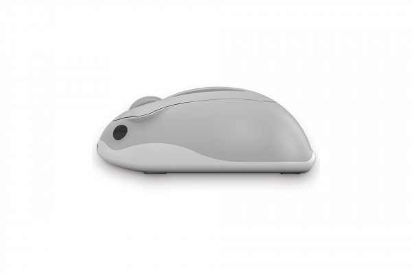 Chuột Akko Hamster Wireless Taro