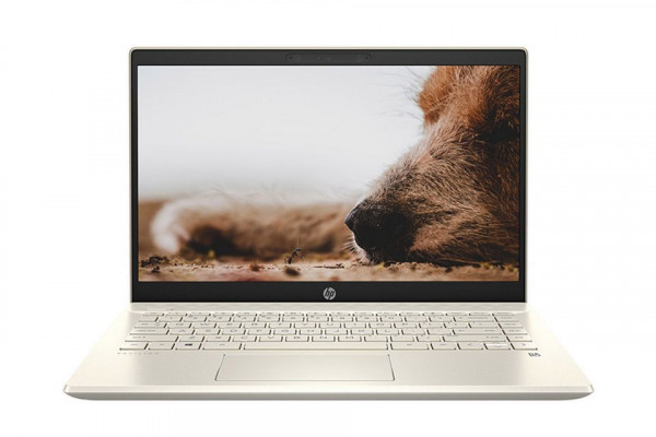 Laptop HP Pavilion 14-dv0013TU 2D7B8PA (i7-1165G7/RAM-8GB/SSD-512GB/14Inch/FHD/Vàng/Win10H)