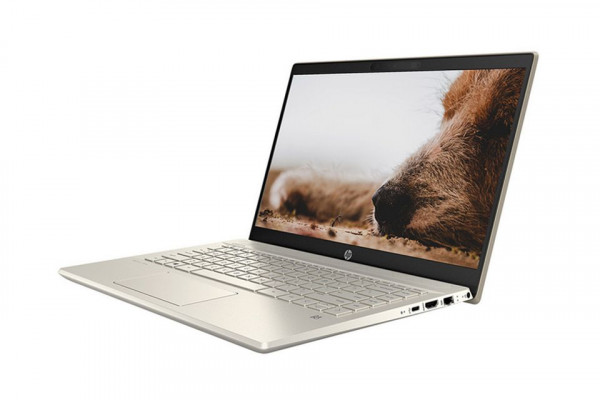 Laptop HP Pavilion 14-dv0013TU 2D7B8PA (i7-1165G7/RAM-8GB/SSD-512GB/14Inch/FHD/Vàng/Win10H)