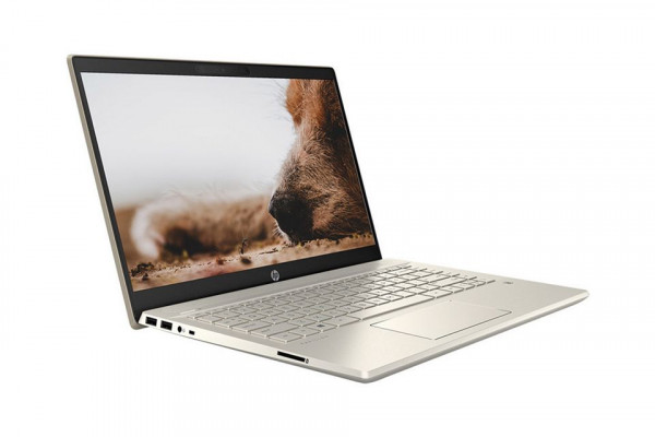 Laptop HP Pavilion 14-dv0013TU 2D7B8PA (i7-1165G7/RAM-8GB/SSD-512GB/14Inch/FHD/Vàng/Win10H)