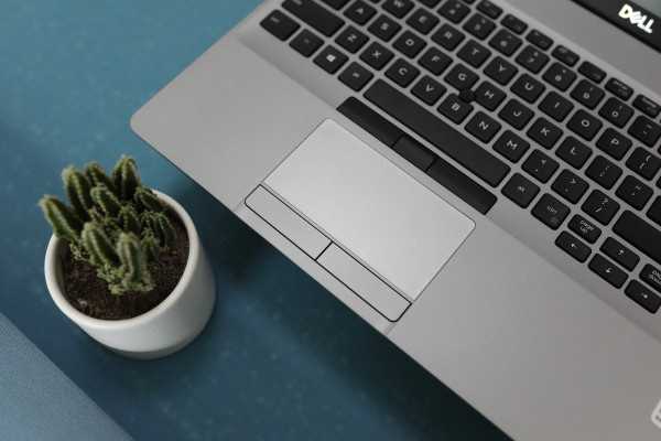 Laptop Dell Mobile Precision Workstation M3550 (i7-10810U/Quadro-P520/RAM-16GB/SSD-256GB/15.6-FHD)