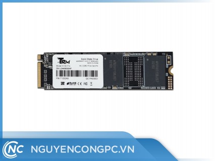 Ổ cứng SSD TRM N100 Pro 512GB (NVMe M.2 2280/ PCIe Gen3 x4)