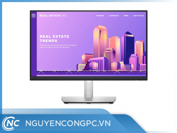 Màn Hình Dell P2222H (22