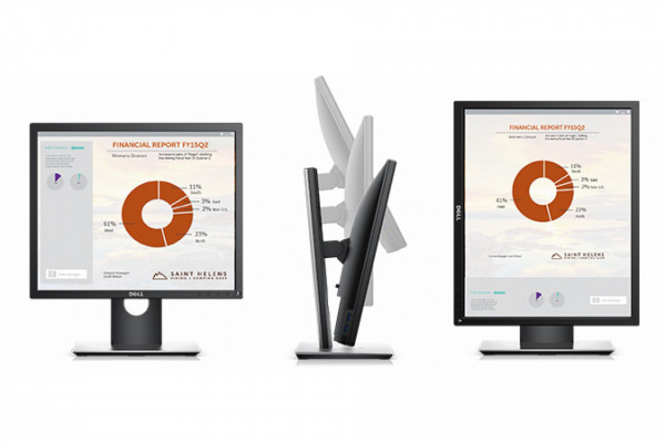 Màn hình Dell P1917S