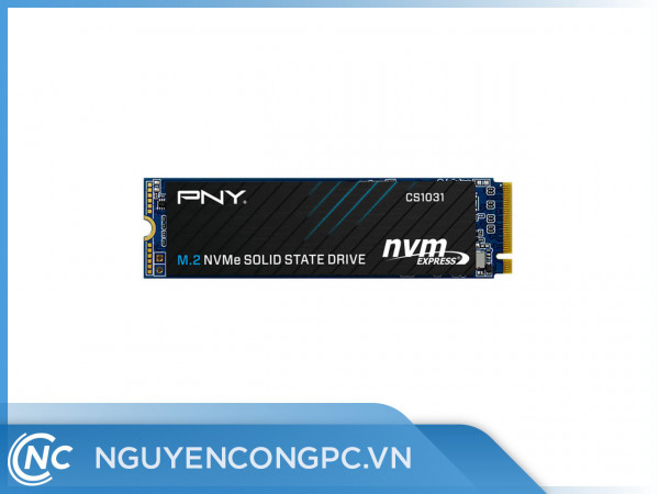 Ổ cứng SSD PNY CS1031 M2 2280 NVMe 256Gb