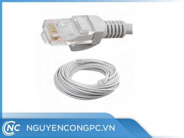 Dây mạng bấm sẵn 20m cat5 | Nguyễn Công PC 