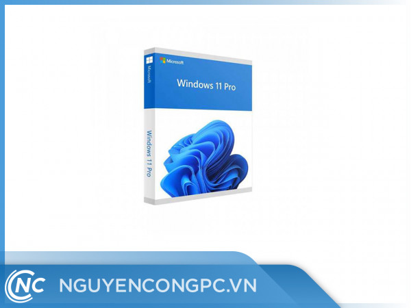 Phần mềm Microsoft Win Pro 11 64bit Eng USB FPP/HAV-00163