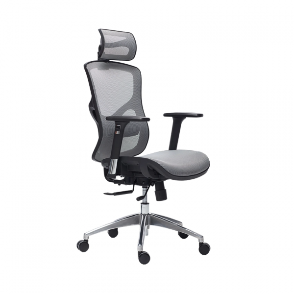 Ghế Công Thái Học Manson Vera Lưới Wintex Xám