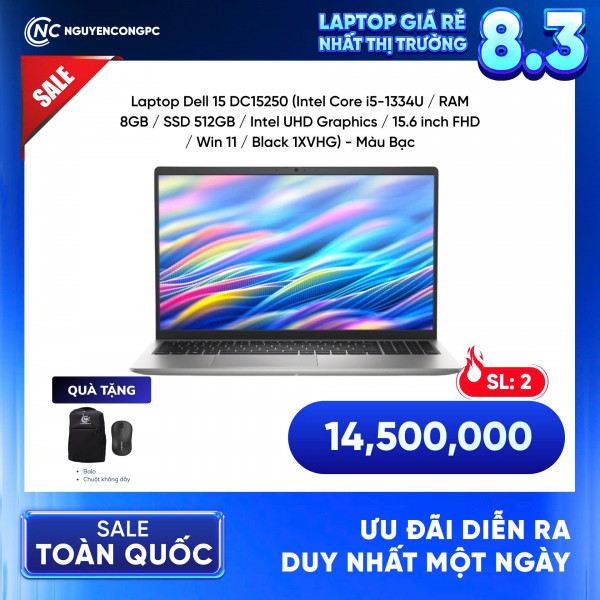 Laptop Dell 15 DC15250 (Core i5-1334U, 8GB RAM, 512GB SSD, Intel UHD Graphics, 15.6 inch FHD, Windows 11, DC15250-1XVHG)