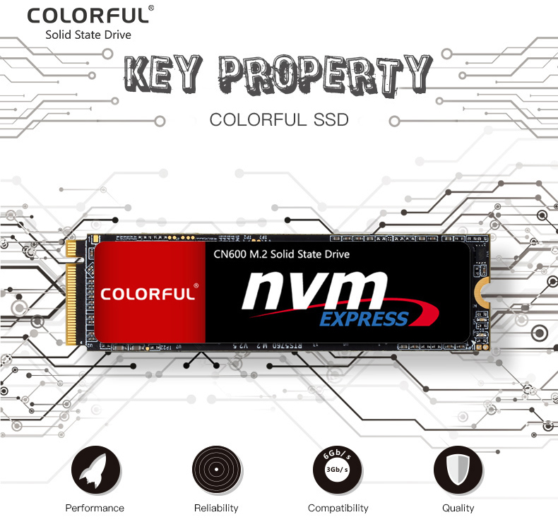 Ổ cứng SSD Colorful CN600 256GB M.2 NVMe 2280 PCIe