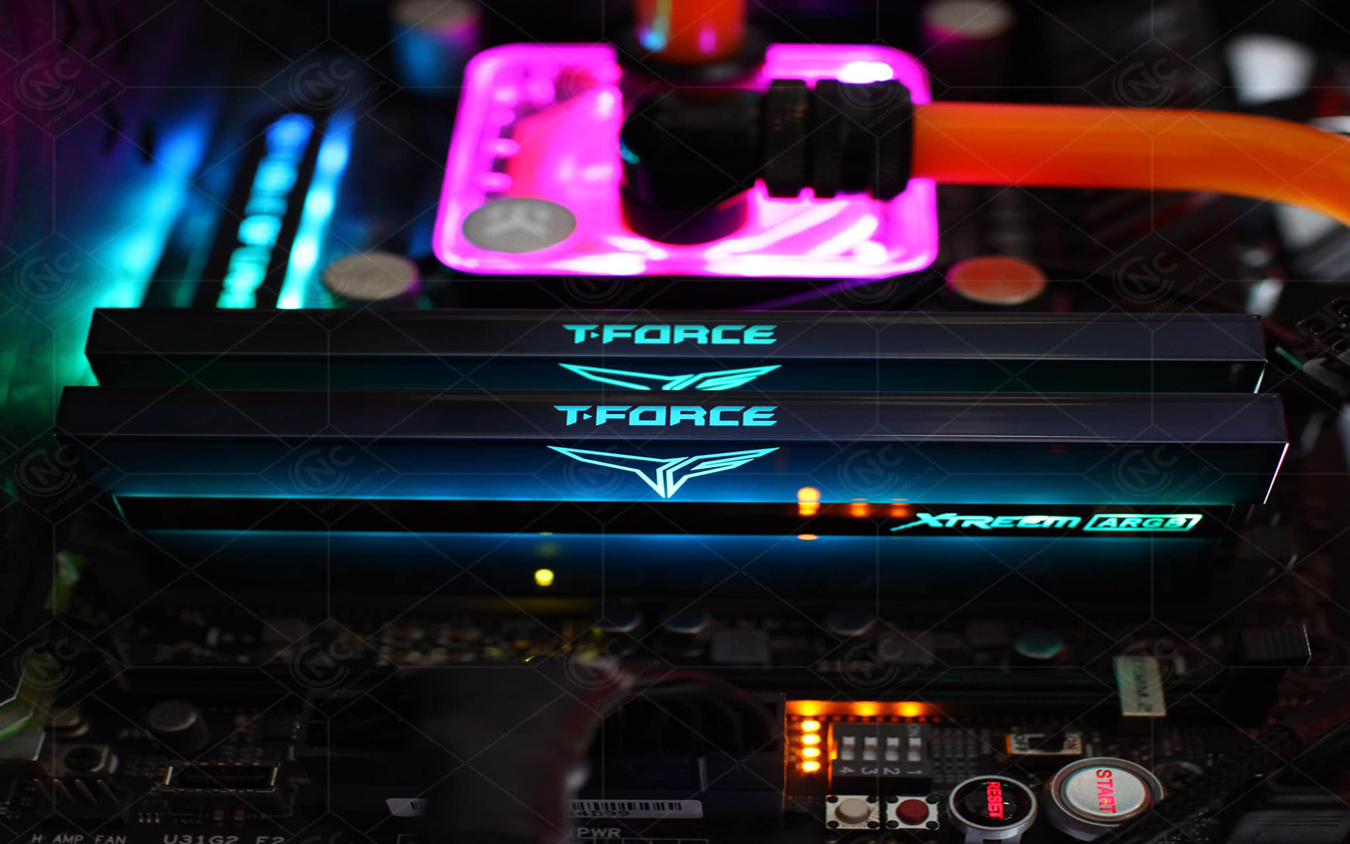 RAM TEAMGROUP T-Force Xtreem ARGB 16GB