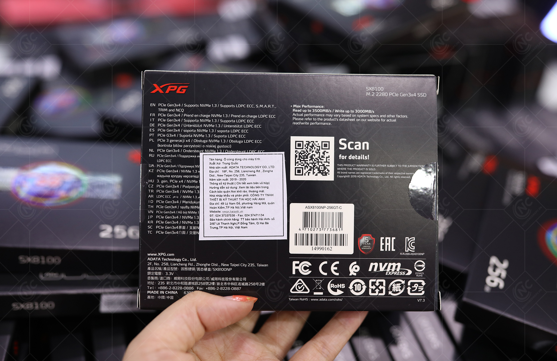 SSD XPG SX8100