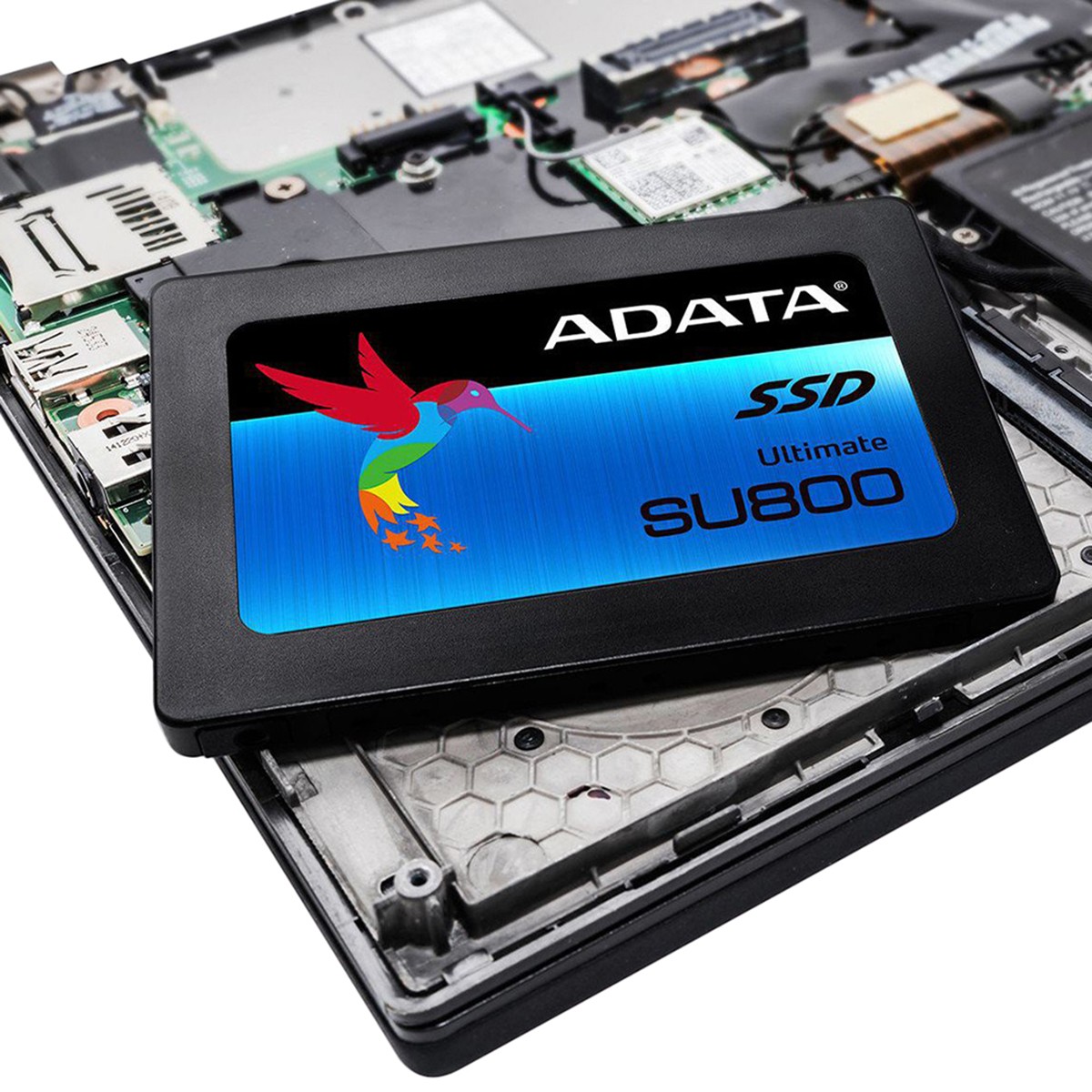 Ổ cứng SSD ADATA SU800 